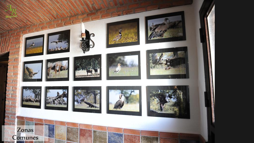 Torrejón el Rubio Apartamentos Rurales Monfraguee מראה חיצוני תמונה